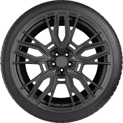 Gripmax SureGrip Pro Winter 265/30 R19 93V XL