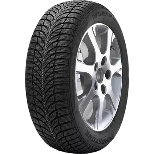 Roadstone Winguard Snow'G WH2 225/55 R16 95H