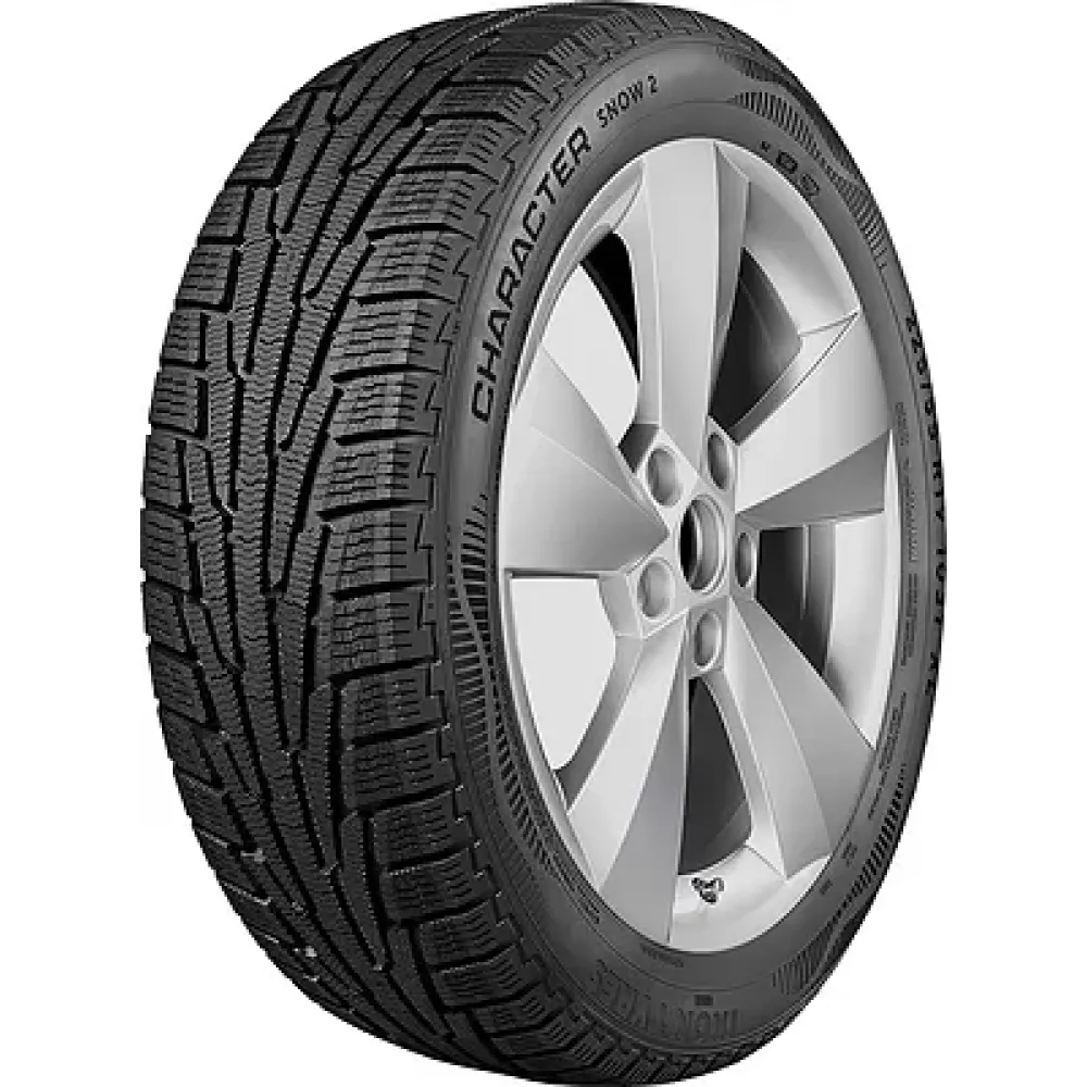 Ikon Character Snow 2 205/55 R17 95H XL