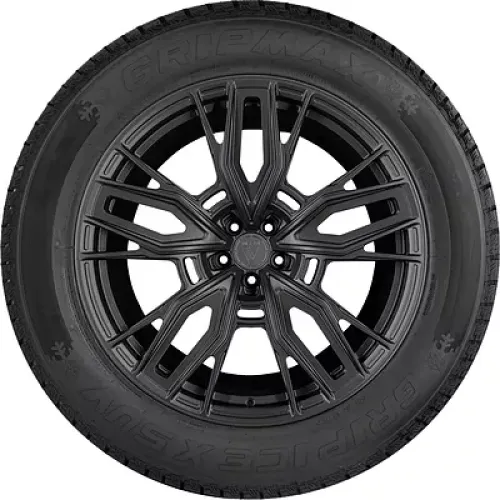 Gripmax Grip Ice X SUV 225/70 R16 103Q